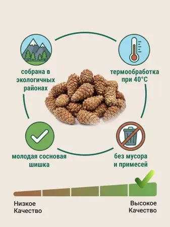 Мульча для сада из шишек целых 5 кг