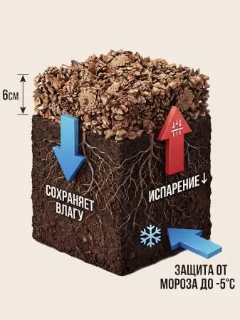 Мульча для комнатных растений из шишек резаных 6 кг