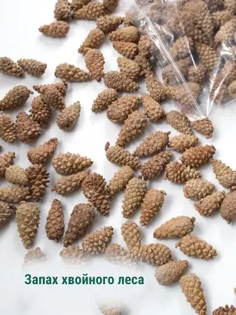 Мульча для сада из шишек целых 5 кг