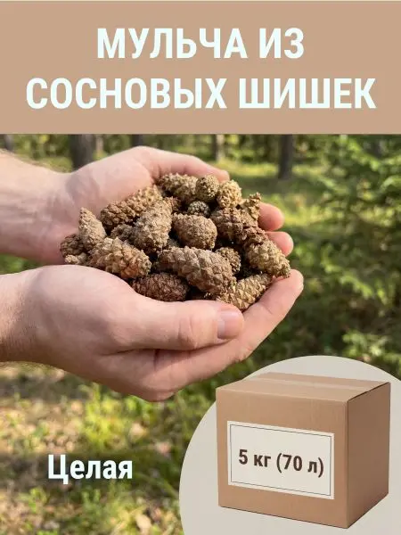 Мульча для сада из шишек целых 5 кг