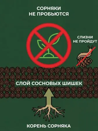 Мульча для сада из шишек целых 5 кг