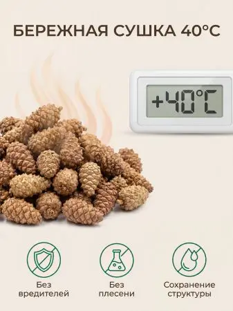 Мульча для сада из шишек целых 5 кг